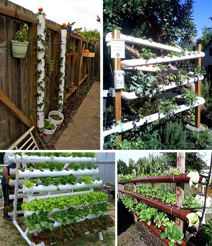 Опции за засаждане на зеленчуци в пластмасови тръби