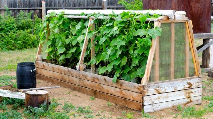 Op maat gemaakt hoog houten bed van planken
