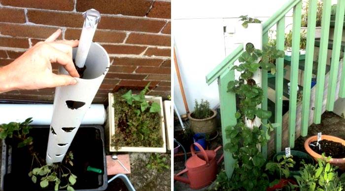 Благодарение на двутръбната система грижите за растенията ще бъдат по-добри