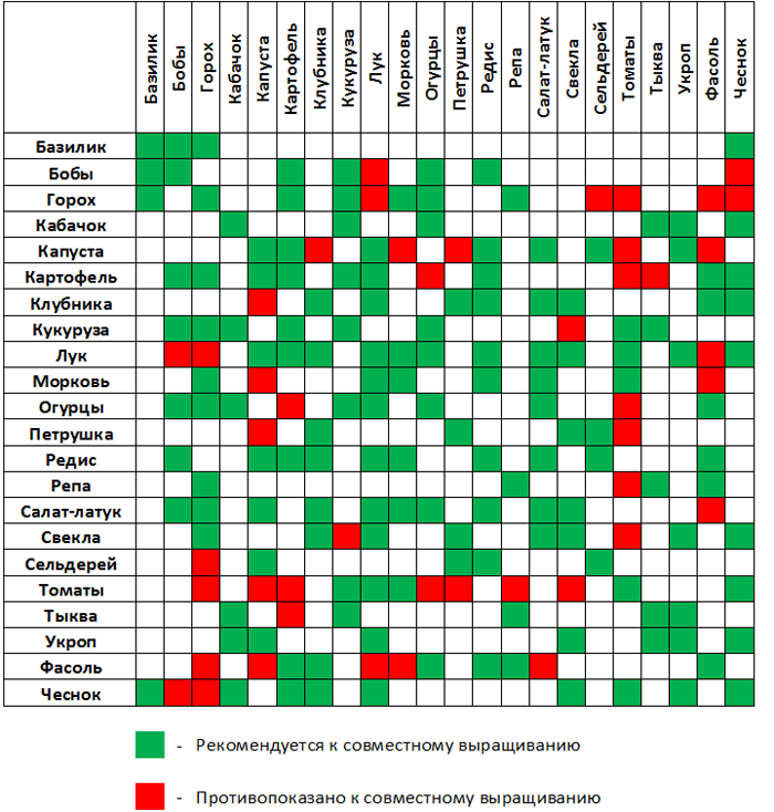 Tafel met groenteburen in de tuin