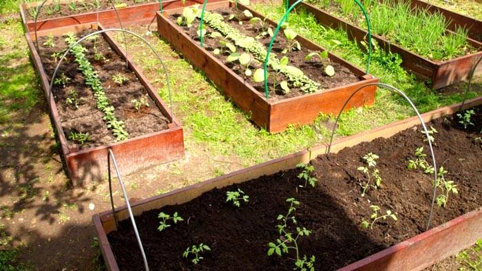 Високи конструкции с дървени страни