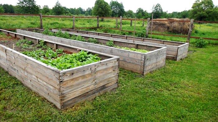 Hoge constructies met houten zijkanten