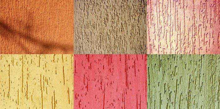 Wat een gipsen schorskever is, is duidelijk te zien op deze foto's