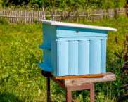 Colmeia faça você mesmo