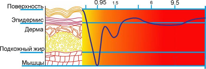 A radiação infravermelha afeta ativamente a pele