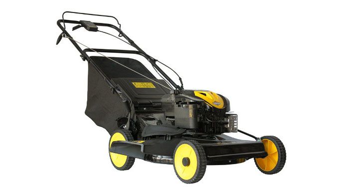 CHAMPION LM4630 - une bête de somme à petit prix