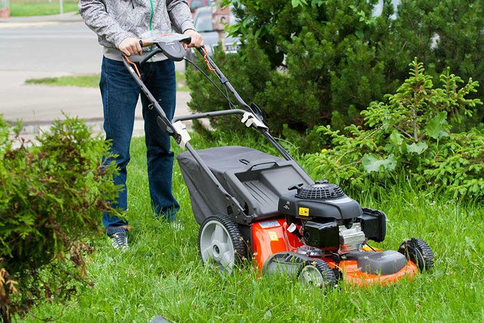 Tondeuse à gazon automotrice à essence: note, meilleurs modèles
