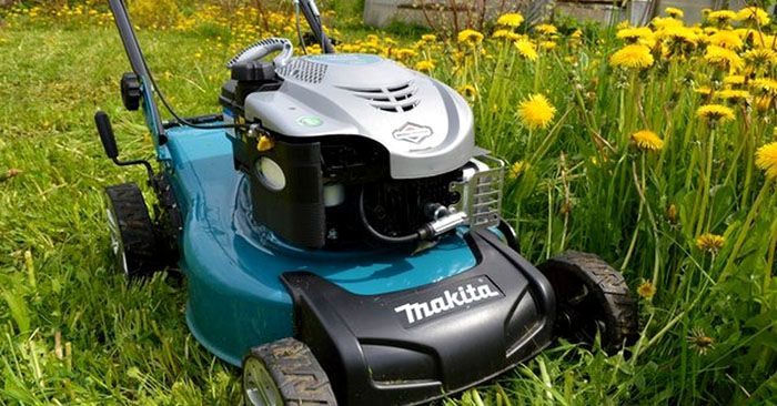 Le choix dépendra largement de la taille de votre pelouse sur le site