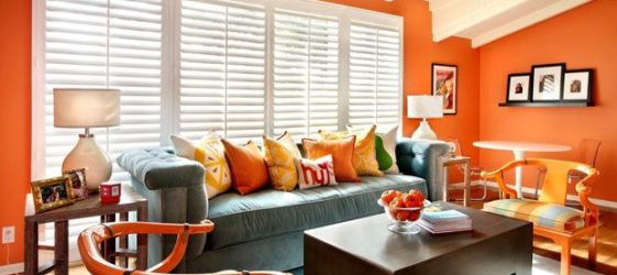 Culoare teracotă: fotografie în interior