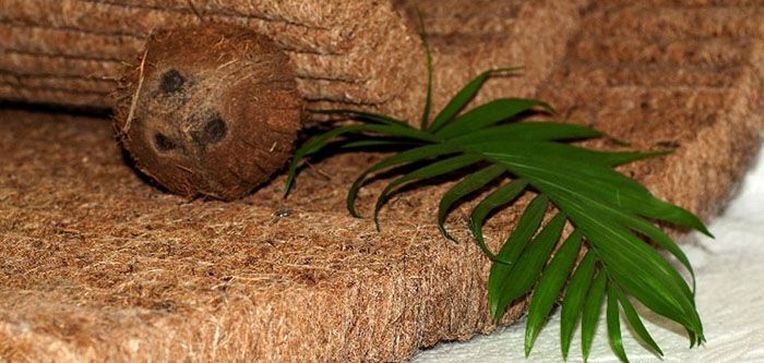 Seperti inilah lapisan yang dibuat sepenuhnya dari inti inti kelapa.