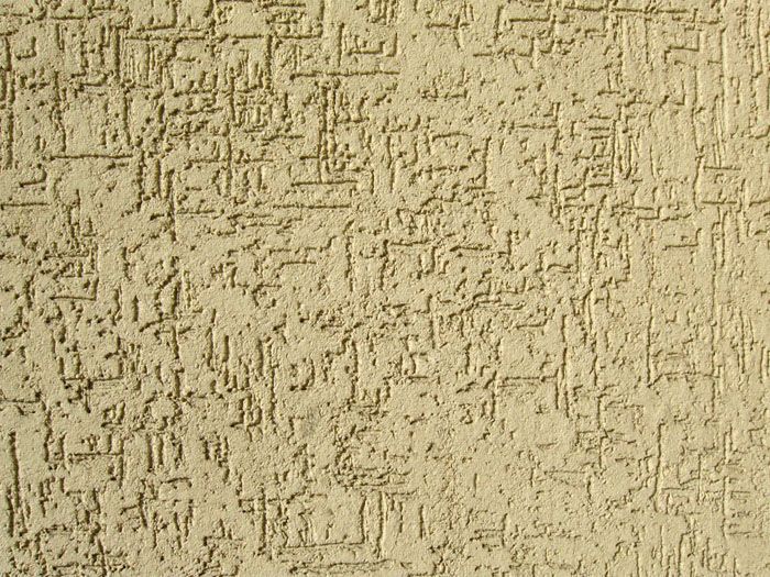 Oberflächenborkenkäfer