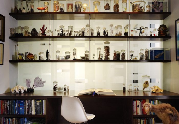 Bộ sưu tập yêu thích là một món đồ trang trí nội thất tuyệt vời