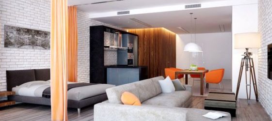 การออกแบบอพาร์ทเมนต์แบบหนึ่งห้องนอน