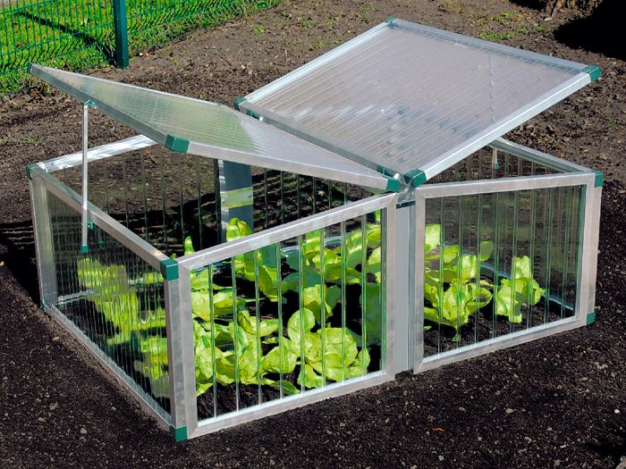 The greenhouse can be very small, just the way you need