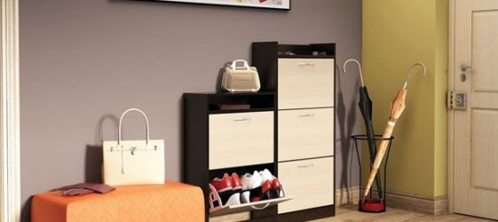 Raft pentru pantofi pe hol