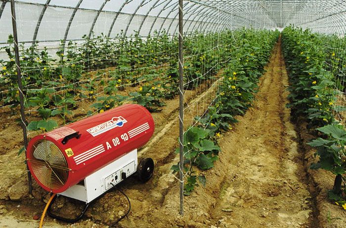 Η παρουσία ενός θερμοβόλου θα επιτρέψει την προστασία των γεωργικών καλλιεργειών που καλλιεργούνται σε θερμοκήπια από τη μείωση της θερμοκρασίας του εξωτερικού αέρα περιβάλλοντος