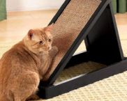 Poste para arranhar gato faça você mesmo