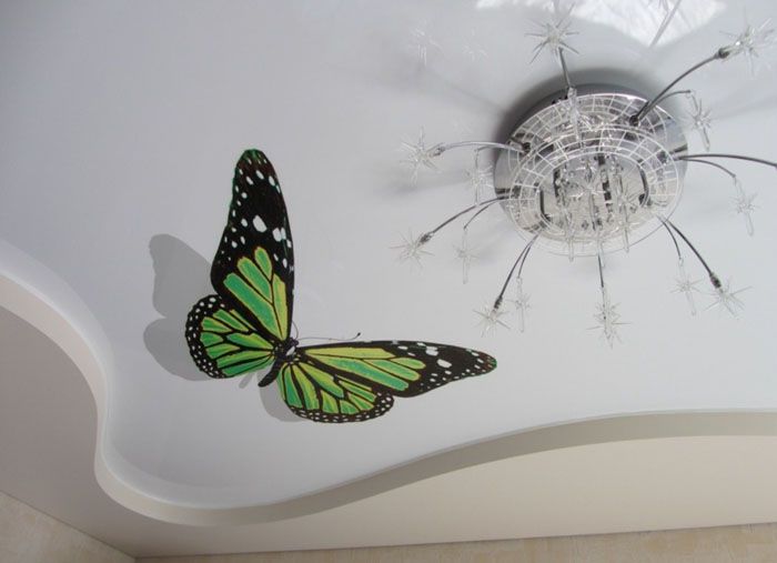 Предстои да излети. Рисунката може да бъде всичко