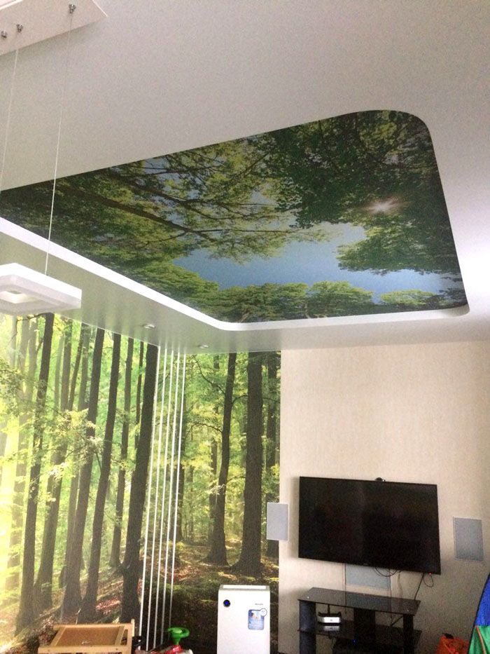 Природата над главата ви - няма пречки пред фантазиите и идеите с възможности за фотопечат