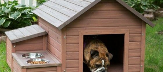 วิธีทำบูธสุนัขด้วยมือของคุณเอง