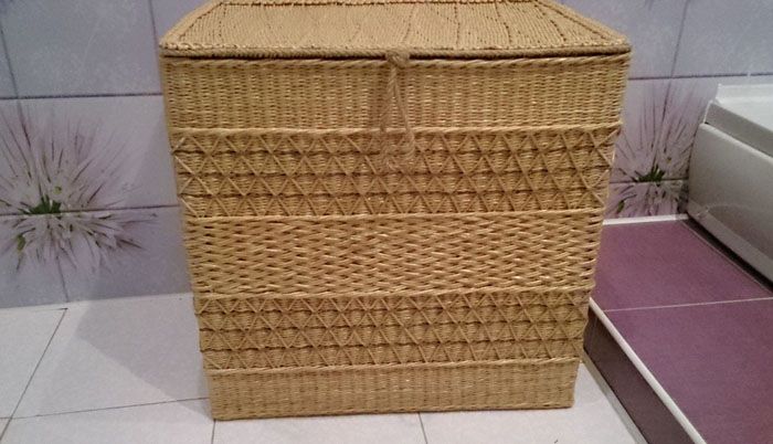 Модел, направен от лоза