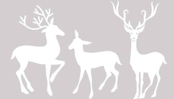 The whole group is located close to each other or in different places