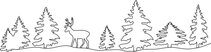 Ποιος διέταξε ολόκληρο το δάσος;