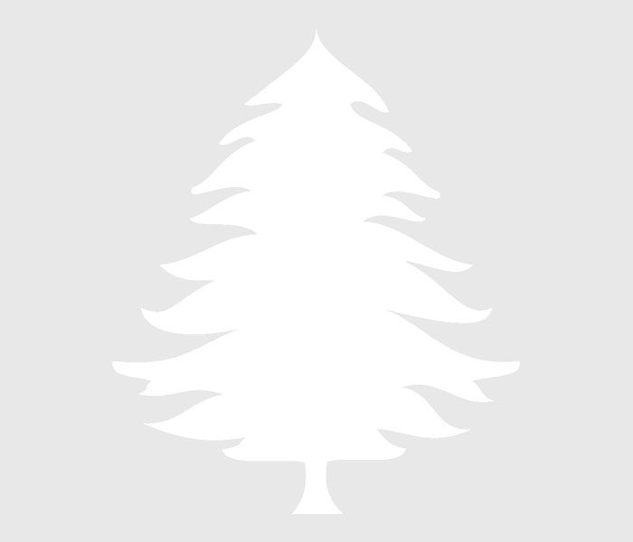 Τα μεγάλα μοτίβα του χριστουγεννιάτικου δέντρου που έχουν τοποθετηθεί για την Πρωτοχρονιά μπορούν να εμπιστευτούν το κόψιμο και το παιδί