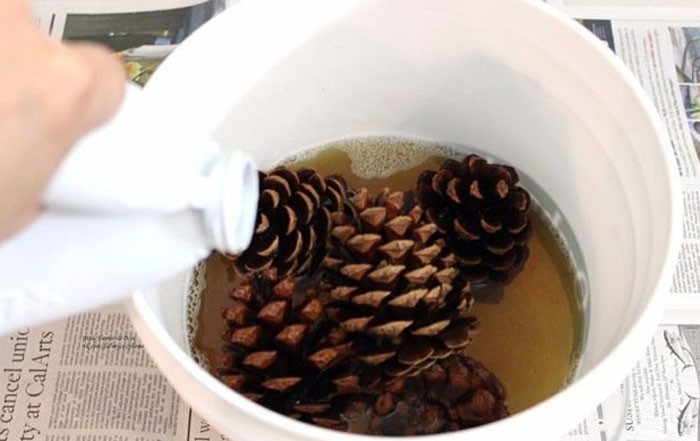 Сега отново поставяме изсушените и отворени шишарки в празен съд, напълваме ги с белота (понякога те вземат Domestos и най-евтината белота наполовина)