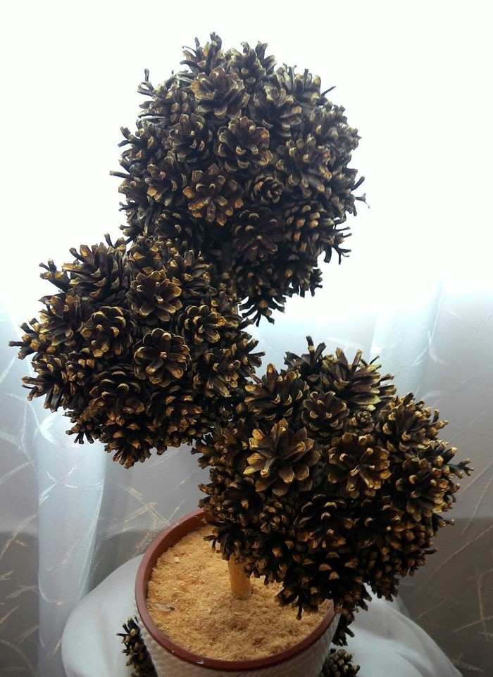 Топиарното изкуство изисква концентрация. В саксията, върху която ще се държат топките, е монтирана основа, в основата се излива разредена с вода мазилка от Париж. Веднага след като мазилката е поставена, основната работа може да започне. Като основни топки можете да използвате топки от пяна за коледна украса