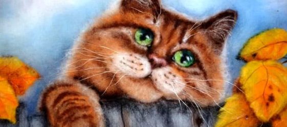 Μαλλί πίνακες