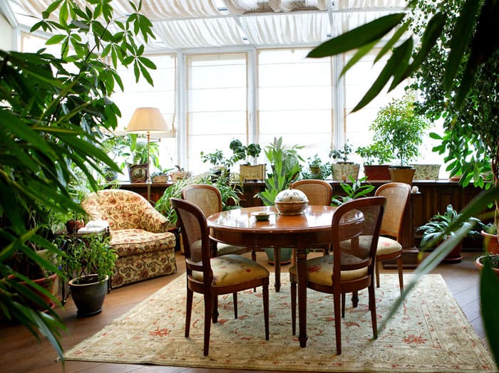 Растения в интериора на жилищна сграда