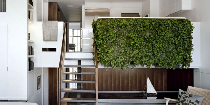 Композиция за стена може да се състои от един вид растения, за предпочитане ампелни сортове - такава стена изглежда просто класа!