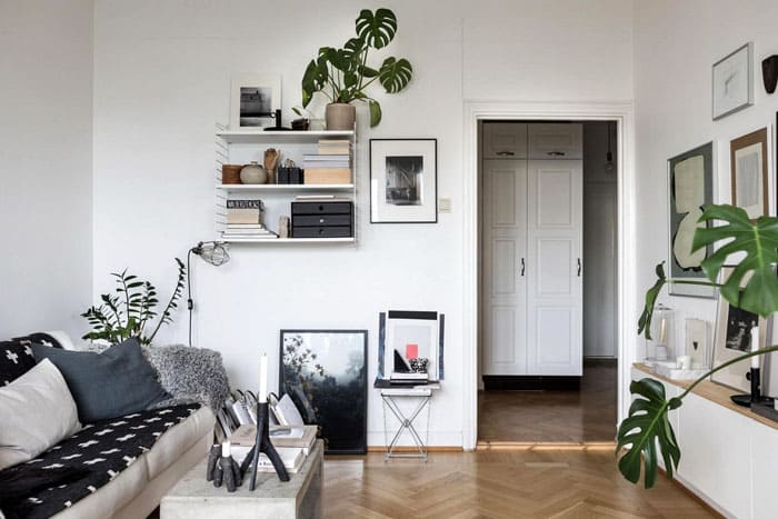 По рафтовете процъфтяват млади растения като монстера, фикус, аспидистра и аспержи. Ако размерът на зелената украса стане голям, тогава той просто се премества във ваната на пода.