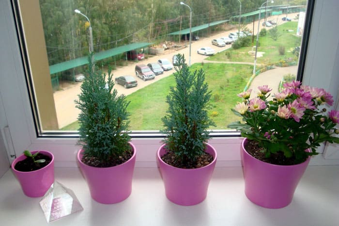 Чудесно е, когато всички саксии са с еднакъв цвят, текстура и материал