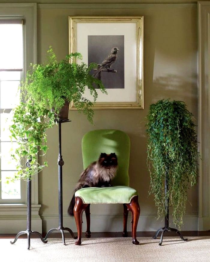 Еднокраките стойки трябва да бъдат много стабилни, така че да не се клатят и да не падат, ако случайно леко ги докоснете. Такива продукти се поставят далеч от пътеките.