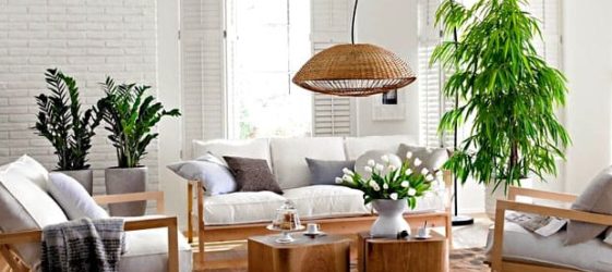 Φυτά στο εσωτερικό ενός κτηρίου κατοικιών