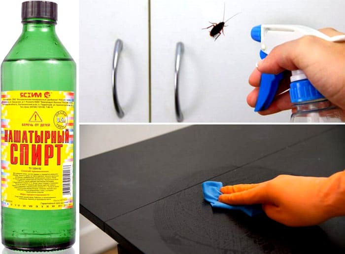 Ammonia will have to be added for some time with each cleaning of the floors, and it is better to do it more often