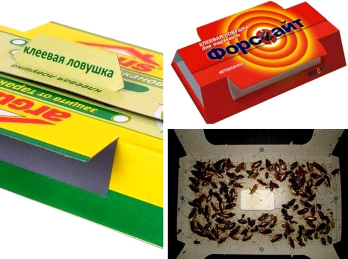 The choice of the trap is based on the wishes of the client