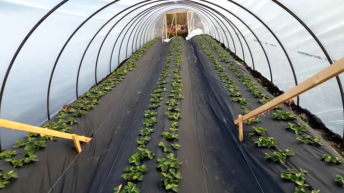 El material se deposita gradualmente y el agua entra en el suelo. En el futuro, no habrá tal problema.