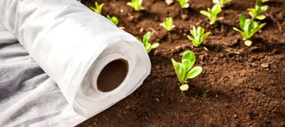 Spunbond υλικό: τι είναι