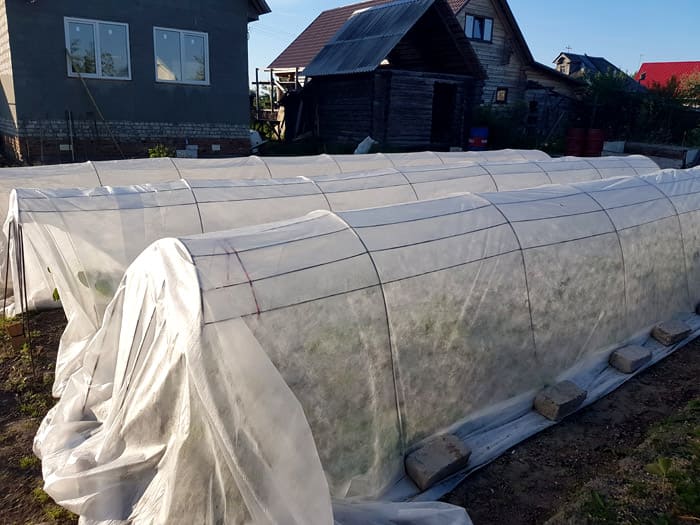 El agrotextil blanco retiene bien la humedad en el suelo, permite que el agua pase, por lo que no habrá problemas con el riego.