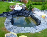 Filme de lagoa: tipos, características, escolha