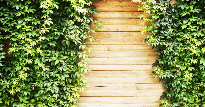 Qualitätsmodell seit vielen Jahren