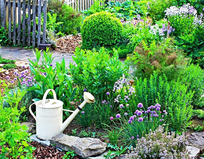 Можете да изберете отделно цветно легло за подправки или да засадите ароматни билки на различни места