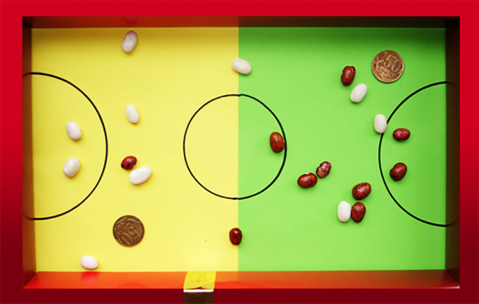 สนามสนุกสำหรับการพัฒนาความคล่องตัวและความแม่นยำ