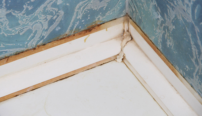 Μην αντιμετωπίζετε τις ραφές με χλωρίνη, στο μέλλον, θα εμφανιστούν πλάκες και κίτρινες κηλίδες σε αυτά τα μέρη