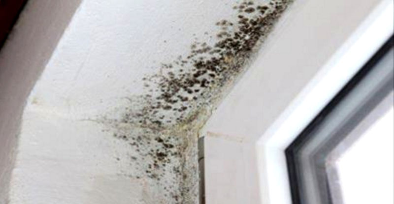 En hier is het resultaat van een onjuiste installatie van vensters En hier is het resultaat van een onjuiste installatie van vensters